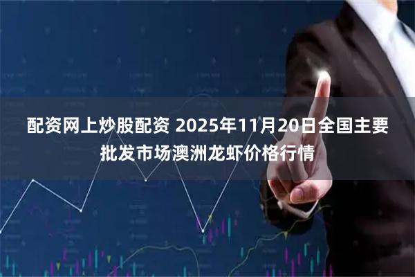 配资网上炒股配资 2025年11月20日全国主要批发市场澳洲龙虾价格行情