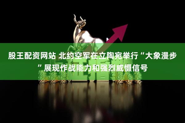 股王配资网站 北约空军在立陶宛举行“大象漫步”展现作战能力和强烈威慑信号